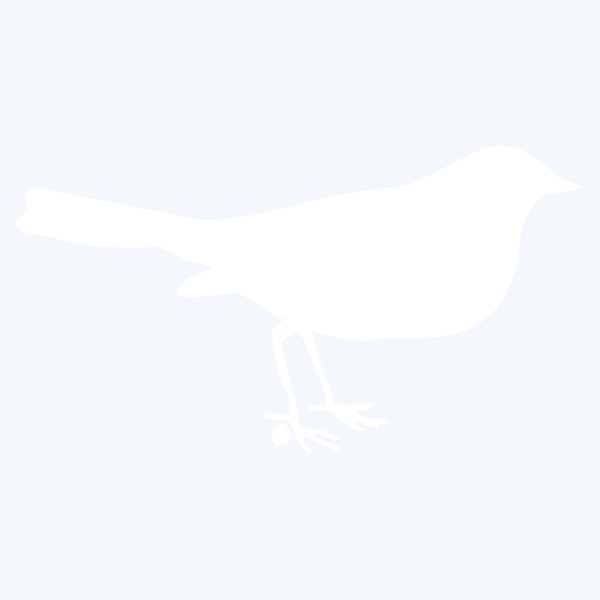 BLACKBIRD