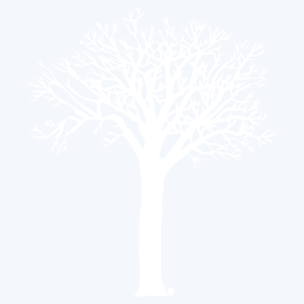 CHESTNUTTREE