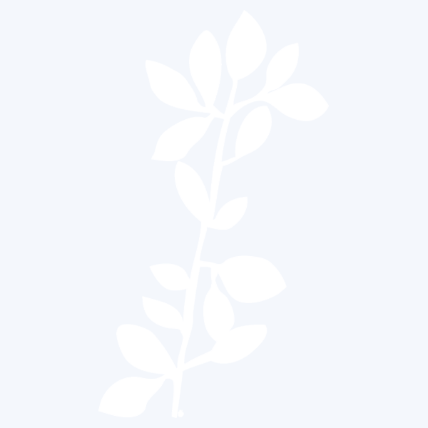 CYTISEBRANCH